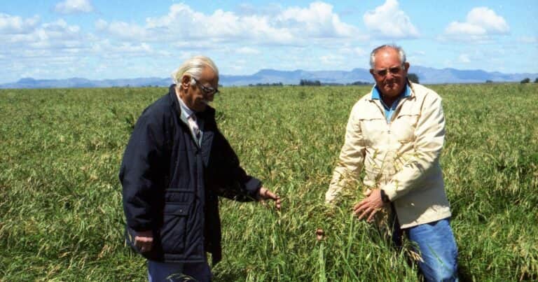 El abuelo descubrió un raigrás forrajero y ahora los nietos proveen el césped a los principales estadios del mundo