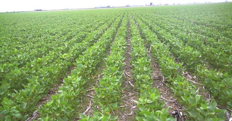 Ingeniería, agronomía, medio ambiente y… periodismo