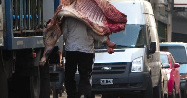 Difunden dos nuevos cortes vacunos en Argentina: cuáles son y qué características tienen
