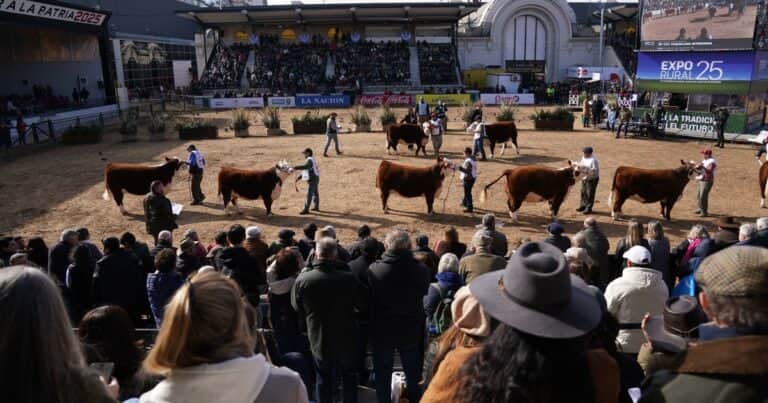 La Rural de Palermo Hollywood, es de película