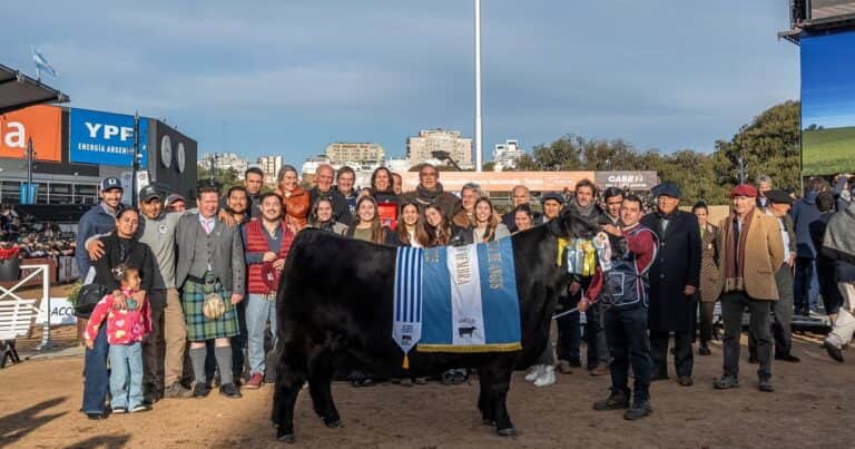 «Flor de madre»: una vaca se coronó por segundo año consecutivo Gran Campeón Hembra Angus de la Expo Rural de Palermo