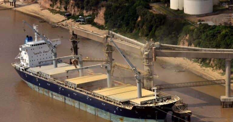 Qué empresas protagonizaron el récord de exportaciones de granos del primer semestre