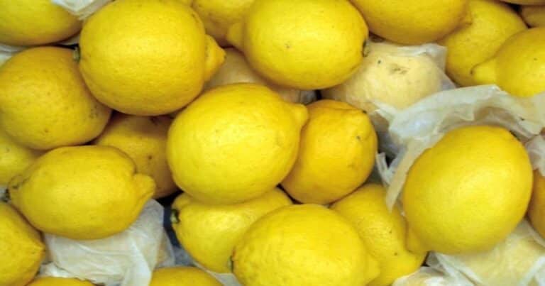 Se abrió el mercado de Chile para la exportación de limones frescos argentinos