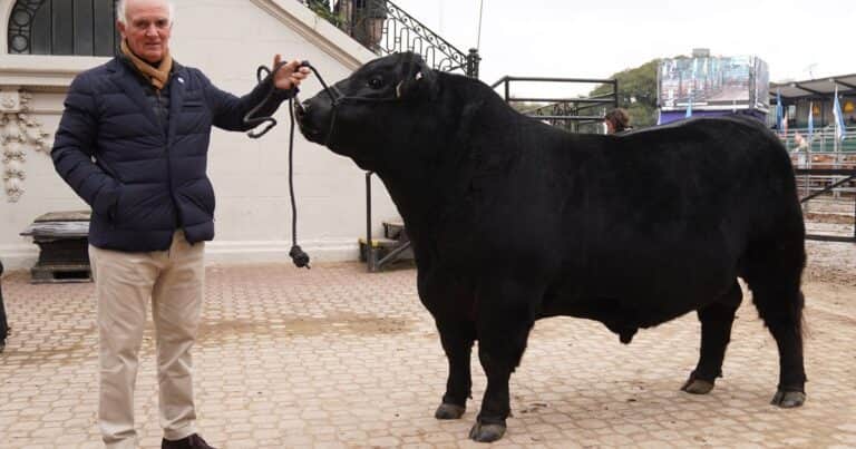«Venimos del infierno»: Alfonso Bustillo reconoce el buen momento ganadero, pero también reclama las medidas oficiales pendientes