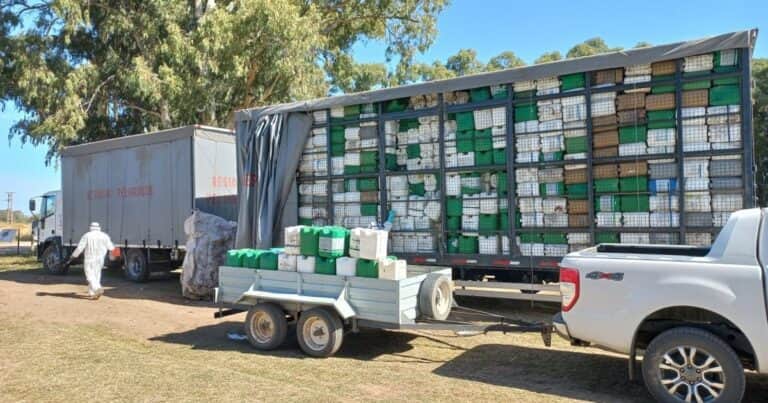 Se recuperaron 20 millones de kilos de envases vacíos de fitosanitarios y el plástico se recicla para 19 fines
