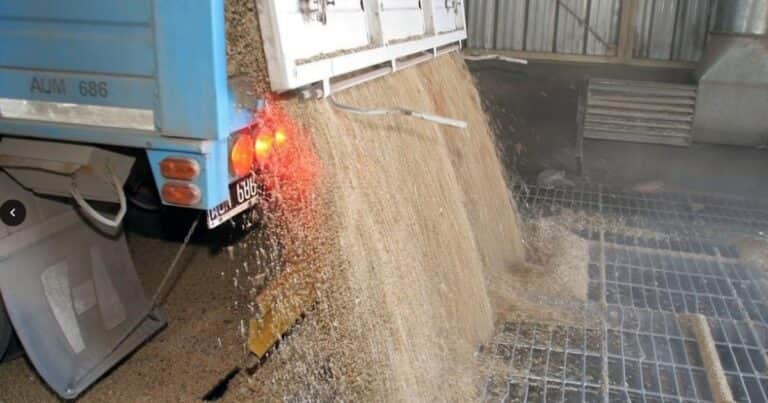 Harina de soja imparable: exportaciones globales alcanzan récord histórico por tercer año consecutivo