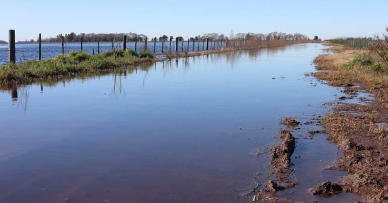 Inundaciones en el centro bonaerense: hay más de un millón de hectáreas bajo el agua y reclaman medidas