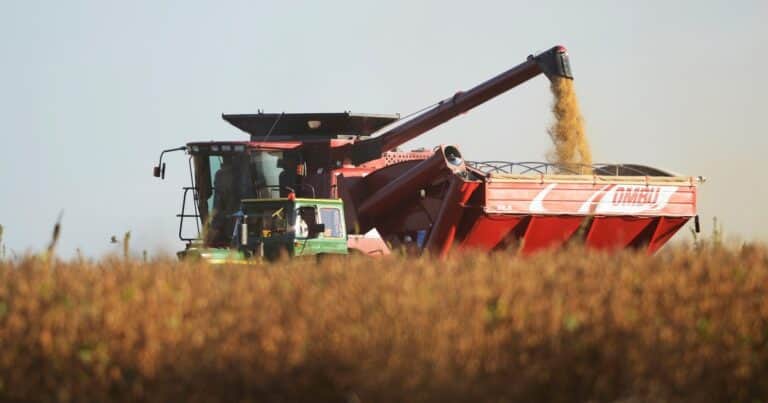 El cálculo de un productor que afirma haber pagado en retenciones más que el valor de su campo