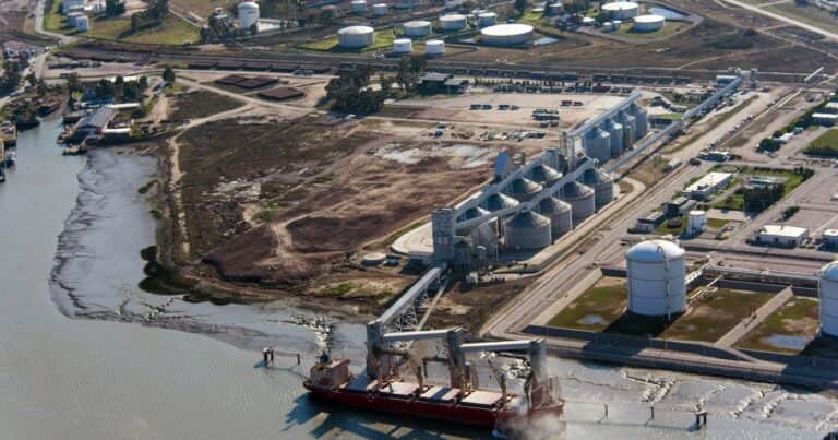 Proyectan exportaciones del campo por más de US$ 10.000 millones en el último cuatrimestre del año