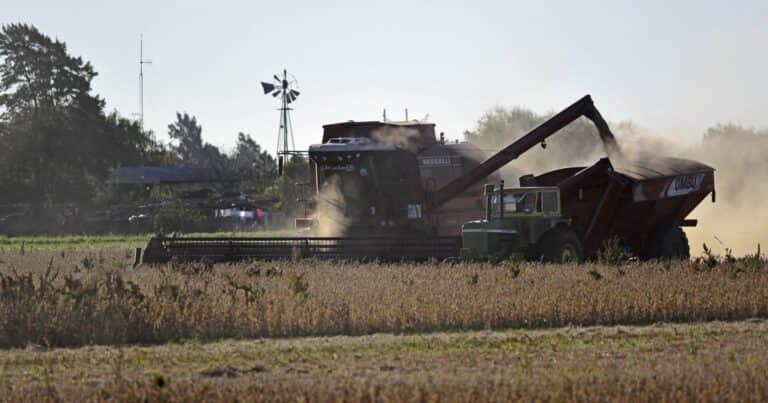 Datos oficiales: más del 70% de la superficie agrícola se trabaja en campos alquilados