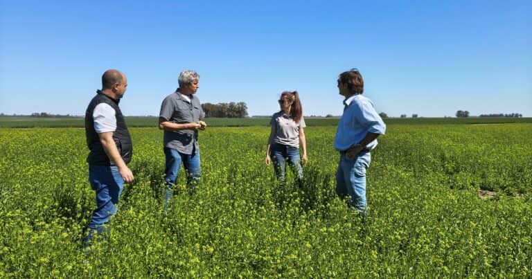 El «chamuyo» de la agricultura regenerativa empieza a pagar en dólares crocantes