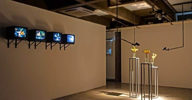 Desafíos V: un territorio en el que confluyen arte, ciencia y tecnología