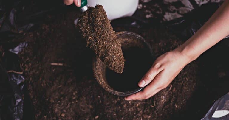 Biochar: una antigua técnica que vuelve para cuidar el suelo y el clima