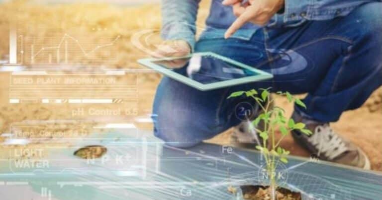 Innovar en el agro: una necesidad con impacto real y tangible
