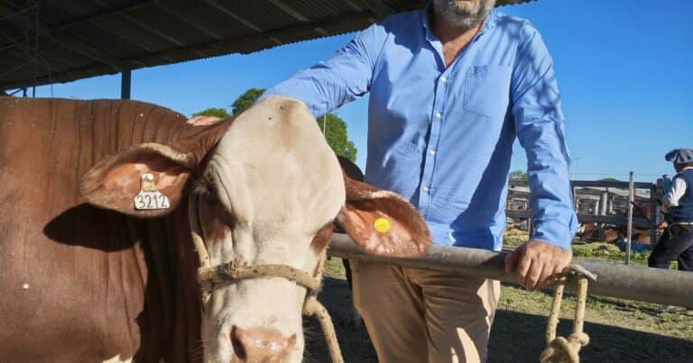 «Es un animal que puede producir carne en toda la Argentina»