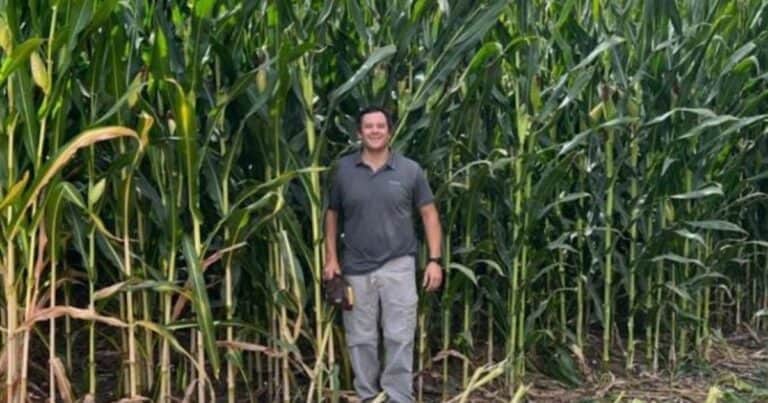 La transformación de una empresa familiar: diversificación, agregado de valor y ahora suma un cultivo atípico para la región