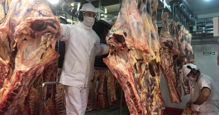 Las exportaciones de carne crecieron un 25% en valor: ingresaron casi US$ 2.800 millones en lo que va del año