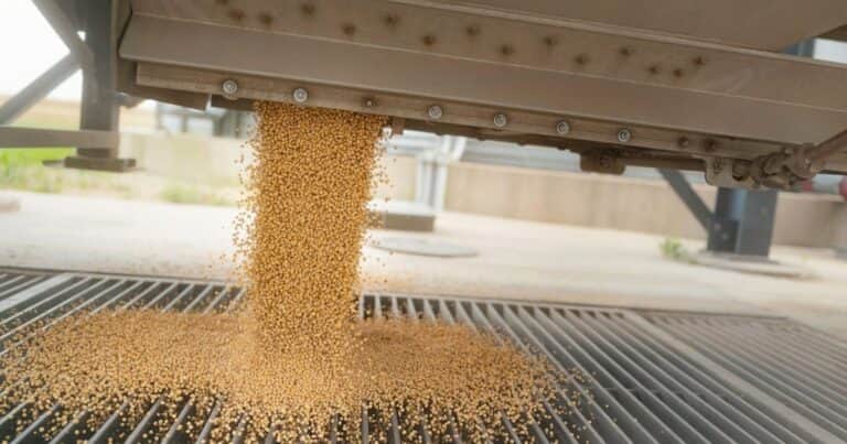 Compararon la producción agrícola en Argentina, Brasil y Estados Unidos durante la última década: los sorprendentes resultados