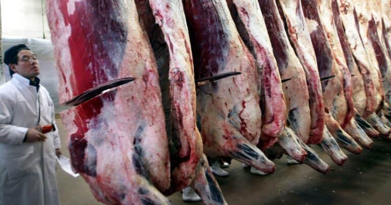 El gobierno de Trump negocia cuadruplicar la importación de carne vacuna argentina