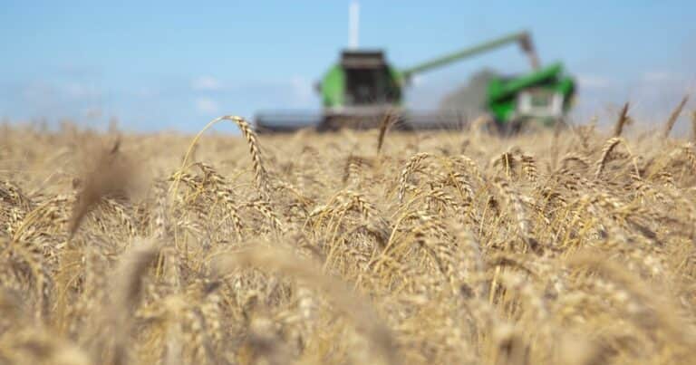 Tras las retenciones cero, vuelven los «agrodólares»: el campo aportará hasta US$ 7.500 millones durante el verano