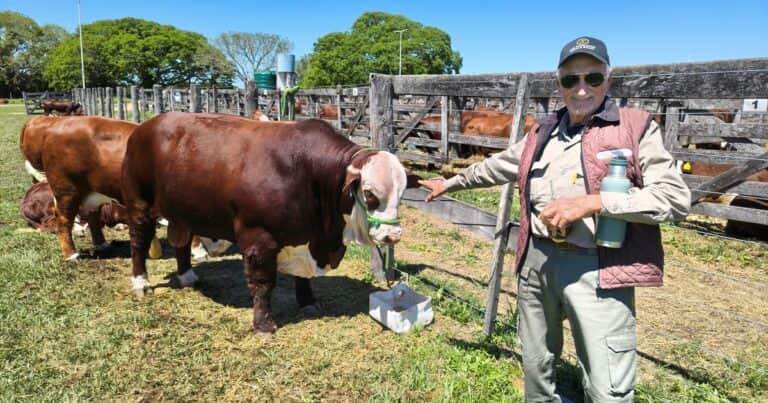 En familia desde el monte, apuntando a la cuota Hilton y con toros de 100.000 dosis