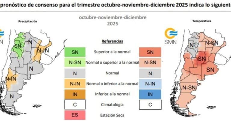El clima para el último trimestre del año: lluvias superiores a lo normal en el NOA y temperaturas más altas en el centro