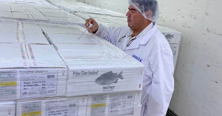 «La buena relación bilateral favorece el intercambio»: una familia innovó en la forma de producir pacú y exportó por segunda vez a Estados Unidos