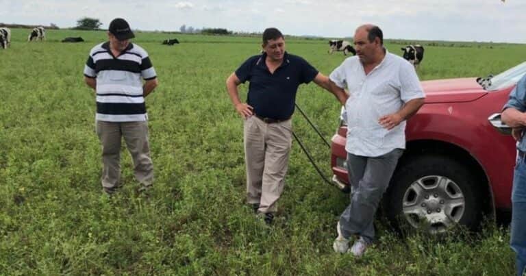La mayoría de los productores teme que vuelva el populismo pero no están dispuestos a invertir ahora