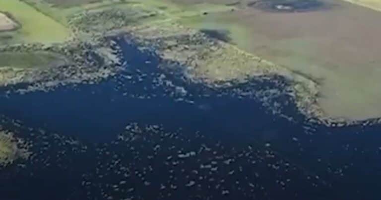Hay casi 6 millones de hectáreas afectadas por las inundaciones en Buenos Aires: las pérdidas llegan a US$ 2.000 millones