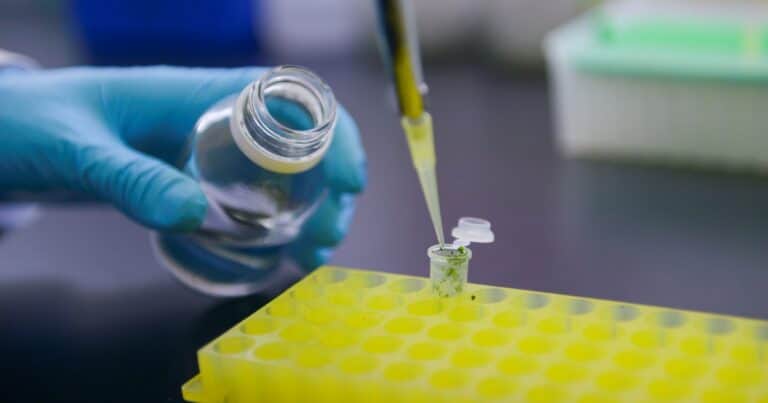 Biotecnología, tecnología estratégica del siglo XXI