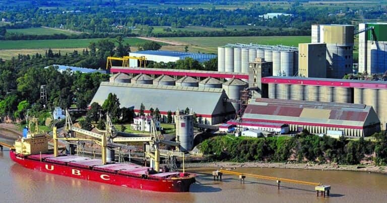 Sorpresivo giro en las exportaciones del producto que más dólares genera en la Argentina: «Llegó a más del 35% del planeta»