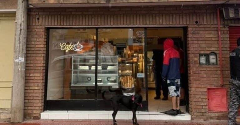 Tres chicas que volvían de bailar quisieron robar una panadería en Córdoba: la encargada las echó a los cuchillazos