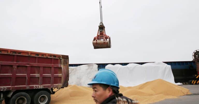 El éxito histórico del agro argentino se debe a la convergencia con la revolución proteínica de China