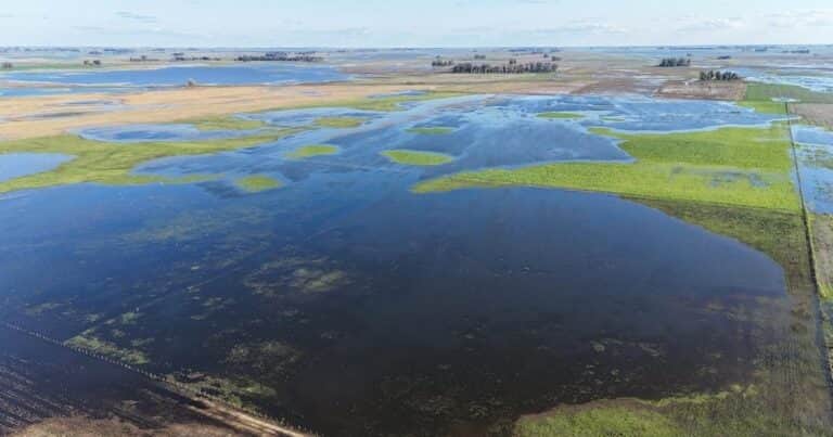 El gobierno nacional prorrogó la emergencia agropecuaria para partidos bonaerenses afectados por las inundaciones