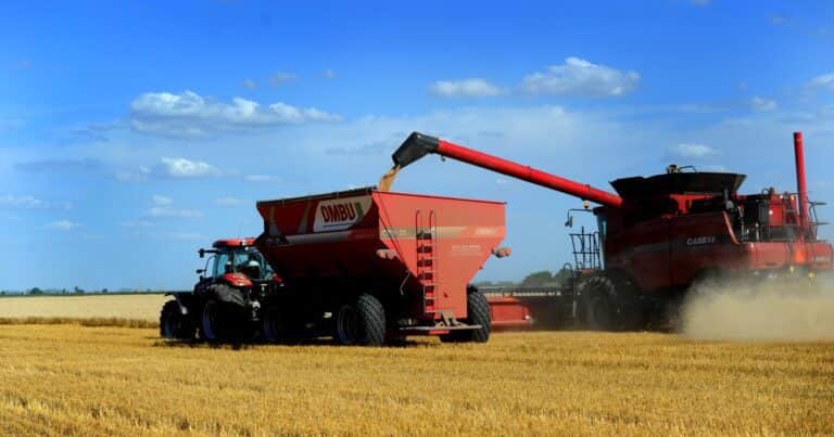 Avanza con buen ritmo la campaña gruesa y el trigo consolida una cosecha récord