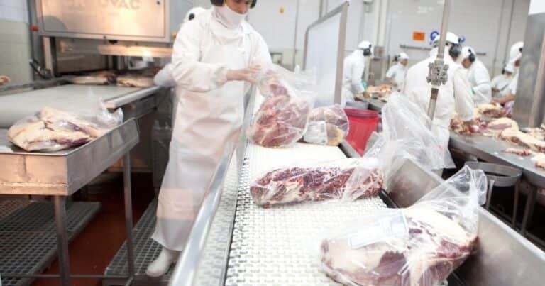¿Quiénes serán los principales jugadores del mercado internacional de la carne en 2026?
