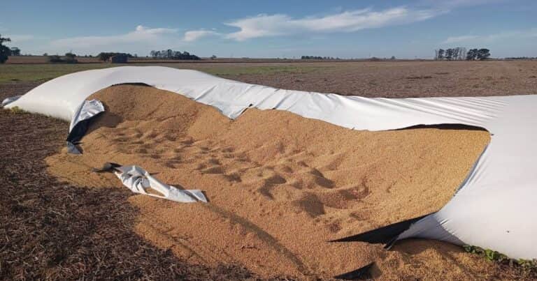 Una entidad propone crear la figura de “vandalismo rural” con penas de hasta cinco años de prisión