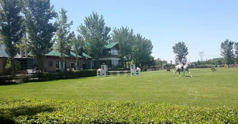 Misterio en Cañuelas: robaron cuatro caballos de alto valor en un barrio cerrado