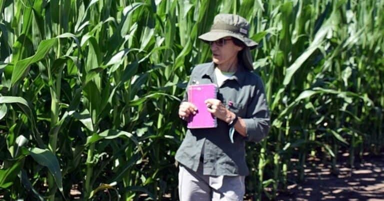 La porteña que se transformó en una referente de la investigación sobre maíz