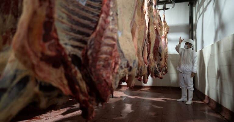 Ganadores y perdedores: China, el principal mercado para Argentina, comenzó a cuotificar la importación de carne vacuna