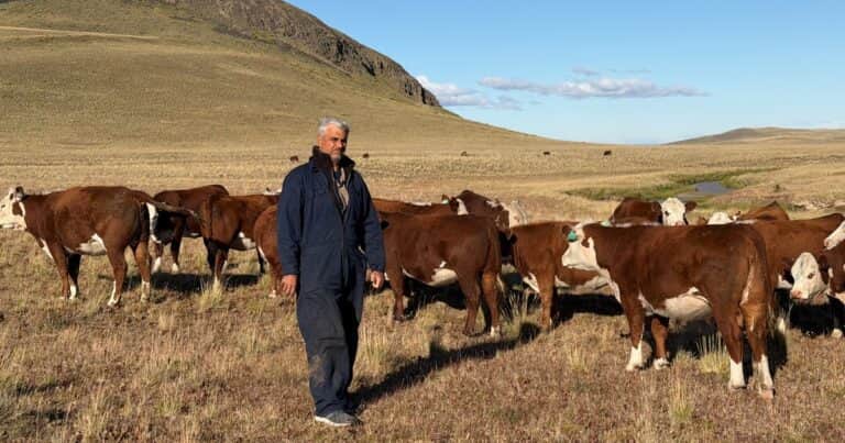 Son cuarta generación de productores en la Patagonia y aplican técnicas de vanguardia en el manejo de vacas y ovejas