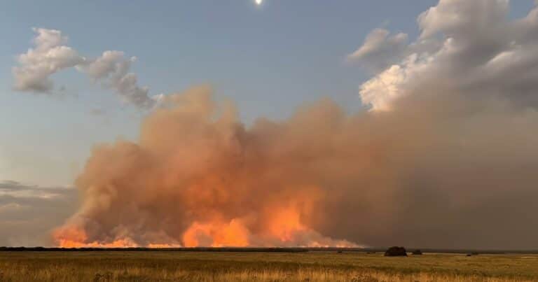 El Banco Nación anunció líneas de créditos especiales para productores afectados por los incendios en La Pampa y la Patagonia