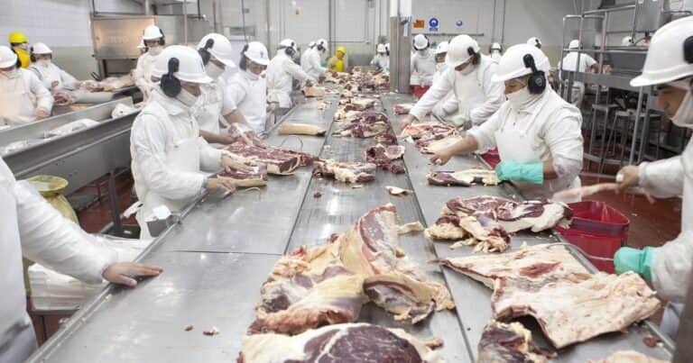 En 2025 cayó el volumen de carne vacuna exportada pero aumentó fuerte el ingreso de divisas