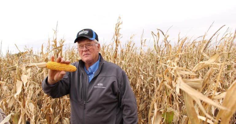 Un pan dulce bajo el brazo… para los farmers