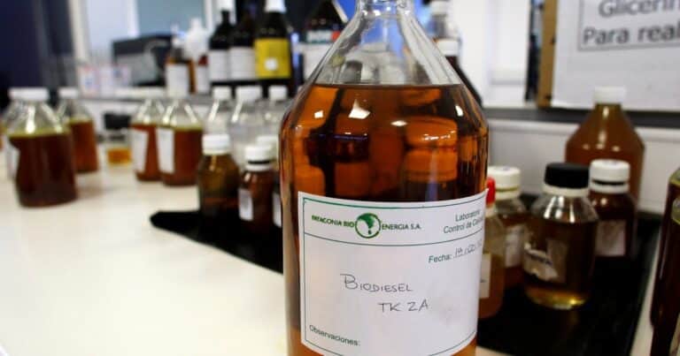 La Unión Europea cerraría las importaciones de biodiesel de soja