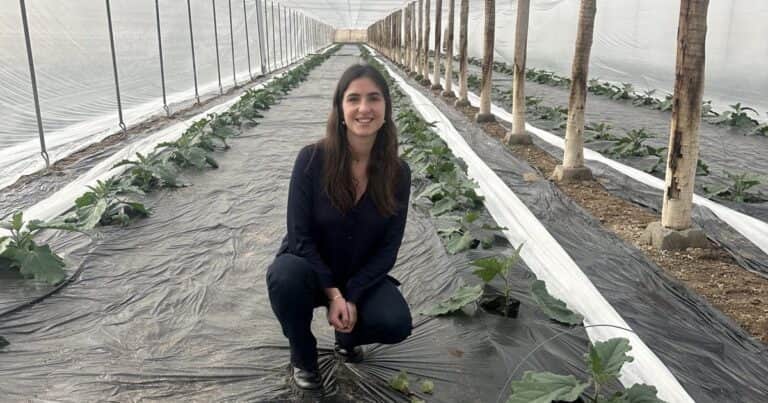 «La chica del picante»: de Tucumán a Francia con ajíes y berenjenas gourmet