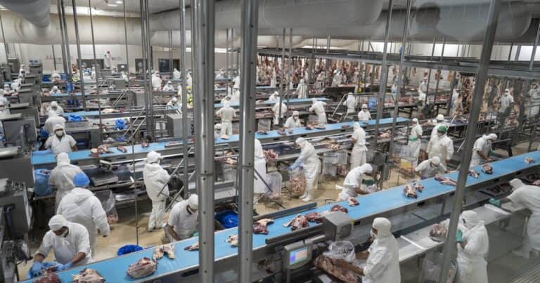 Tras la medida de salvaguardia, China administrará la cuota de carne vacuna argentina y mantendrá la exportación libre hasta alcanzar el cupo