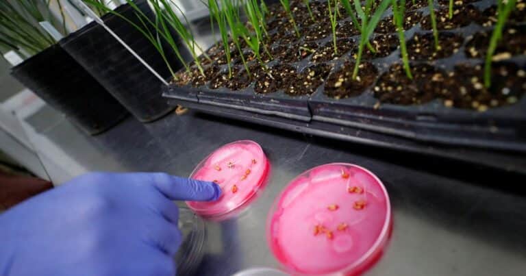 Bioceres pidió su propia quiebra en medio de fuertes acusaciones cruzadas