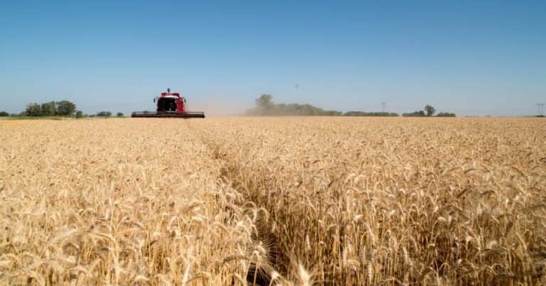 Pese a los altibajos, la actividad económica creció 4,4% en 2025