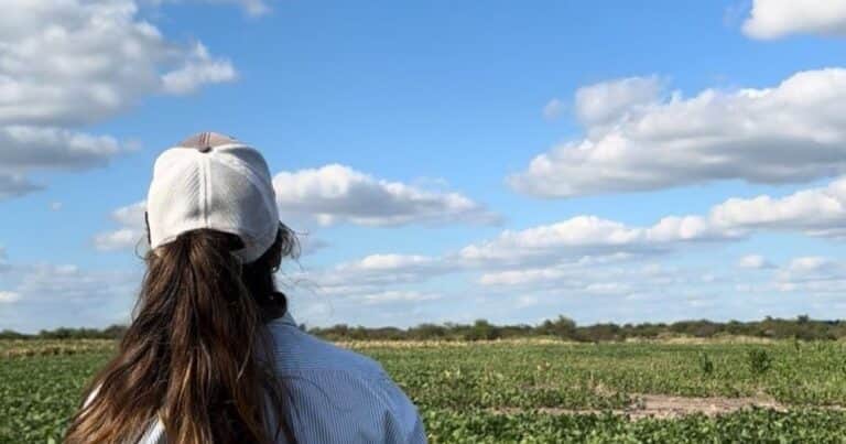 Cómo los drones son una solución para hacer aplicaciones dirigidas de herbicidas